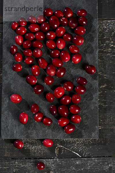 Cranberries  Vaccinium vitis-idaea  auf Schiefer und Holz