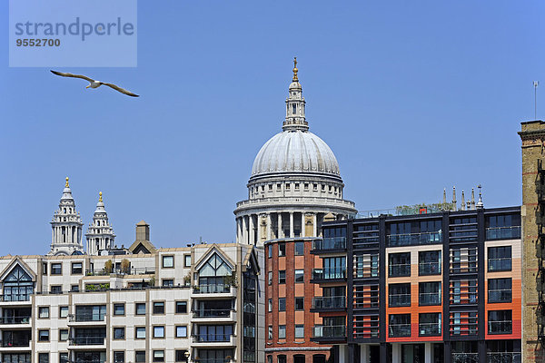 UK  London  Wohnen vor der St. Paul's Cathedral