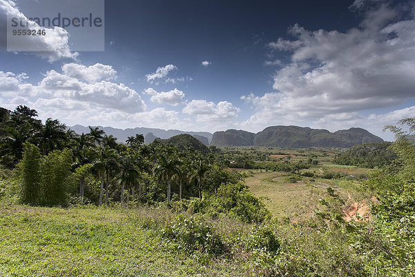 Kuba  Pinar del Rio  Blick ins Vinales-Tal mit Mogotes im Hintergrund