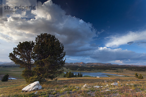 USA  Montana  Landschaft und See