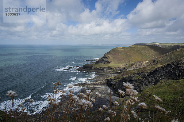 Großbritannien  England  Cornwall  Atlantikküste  High Cliff