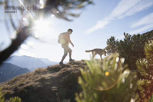 Österreich  Tirol  Unterberghorn  Wanderer mit Hund bei Sonnenaufgang