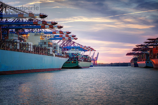 Deutschland  Hamburg  Containerschiffe im Hafen