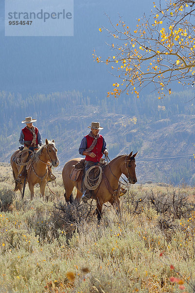 USA  Wyoming  Big Horn Mountains  Reiten Cowgirl und Cowboy im Herbst