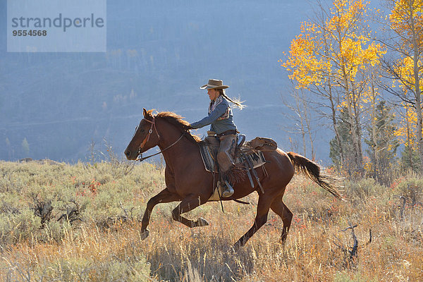 USA  Wyoming  Big Horn Mountains  Reiten Cowgirl im Herbst