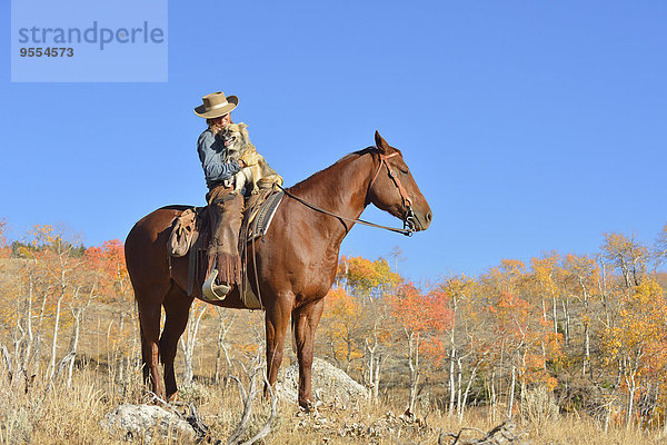 USA  Wyoming  Big Horn Mountains  Cowgirl auf Pferd sitzend mit ihrem Hund