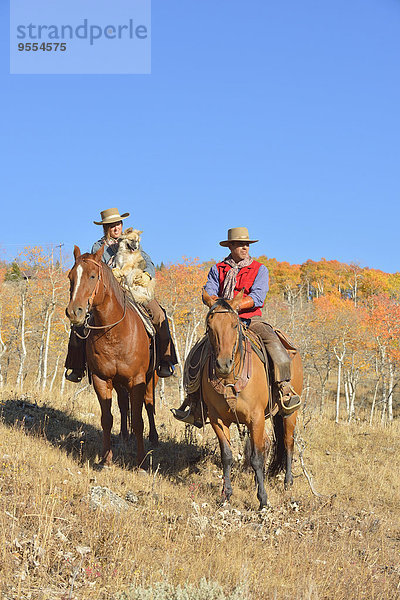 USA  Wyoming  Big Horn Mountains  Cowboy und Cowgirl auf ihren Pferden im Herbst