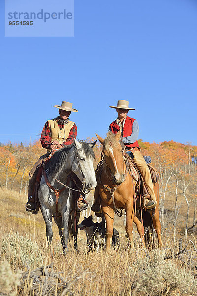 USA  Wyoming  Big Horn Mountains  Cowboy und Cowgirl auf ihren Pferden im Herbst