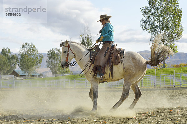 USA  Wyoming  Cowgirl bei der Arbeit mit dem Pferd