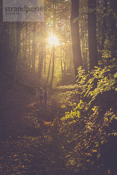 Drei kleine Mädchen wandern durch den Herbstwald