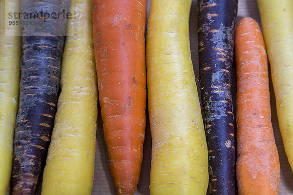 Reihe verschiedener Bio-Karotten  Nahaufnahme