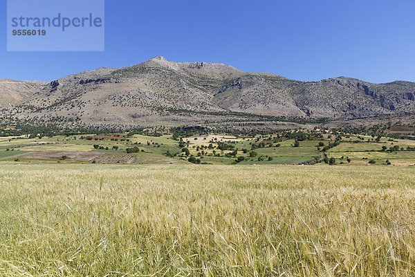 Türkei  Anatolien  Südostanatolien  Adiyaman Provinz  Kahta  Nemrut Dagi Nationalpark mit Parmak Dagi Mountain