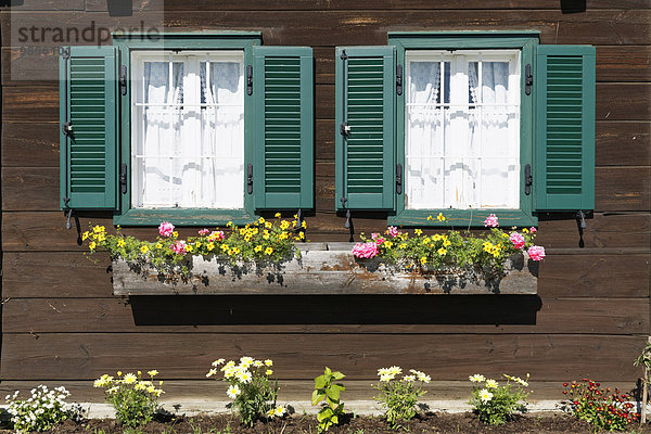 Österreich  Burgenland  Deutsch Schützen  Holzhausfassade mit zwei Fenstern und Blumenkasten