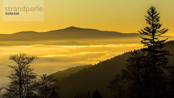 Deutschland  Bayern  Nationalpark Bayerischer Wald  Blick aus dem Tal mit Nebelschwaden bei Sonnenaufgang