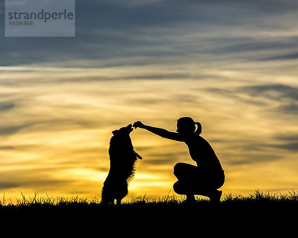 Germany  Woman with dog  Silhouettes at sunset