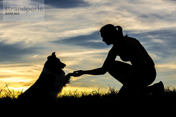 Germany  Woman with dog  Silhouettes at sunset