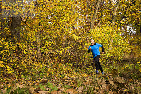 Älterer Mann läuft im Herbstwald.