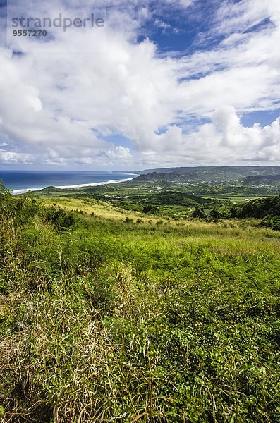 Karibik  Antillen  Kleine Antillen  Barbados  Atlantik  Blick zur Küste