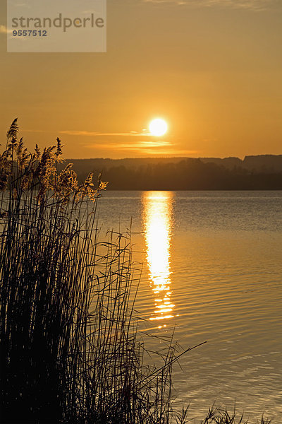 Deutschland  Bayern  Oberbayern  Ammersee am Abend