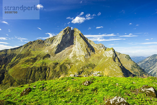 Deutschland  Bayern  Allgäu  Allgäuer Alpen  Blick auf den Berg Hoefats