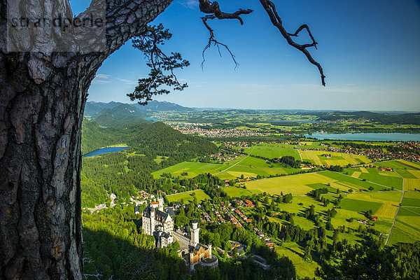 Deutschland  Bayern  Allgäu  Schangau  Blick auf Schloss Neuschwanstein  Schwansee  Weißensee  Füssen  Hopfensee und Forggensee