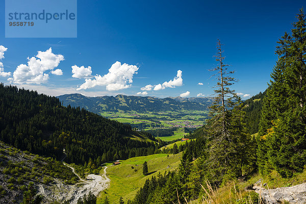 Deutschland  Bayern  Illertal bei Oberstdorf