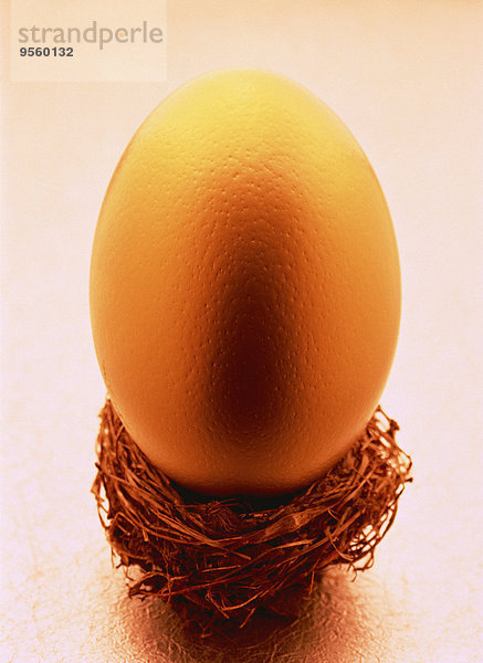 Golden Egg in Nest
