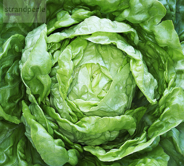 Close-up Salat