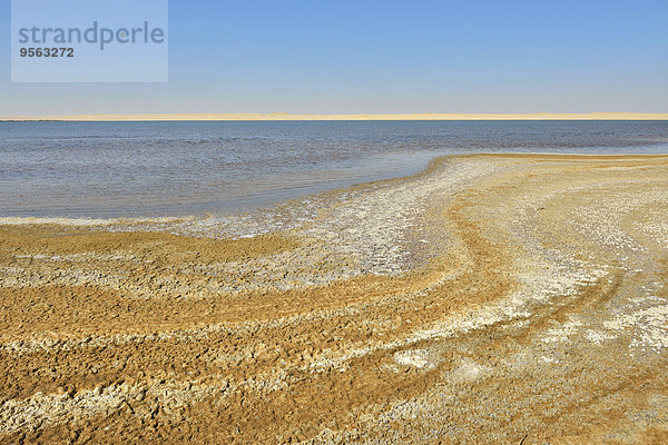 Wüste See Ägypten Matruh Speisesalz Salz