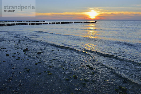 Sonnenuntergang über Meer Baltikum Deutschland Wustrow Mecklenburg Vorpommern