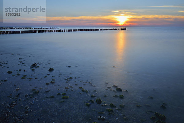 Sonnenuntergang über Meer Baltikum Deutschland Wustrow Mecklenburg Vorpommern