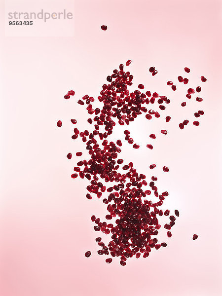 Studioaufnahme Hintergrund pink Samen Granatapfel