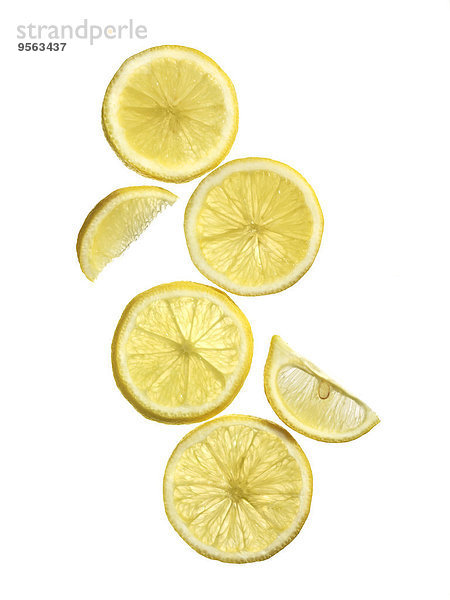 Studioaufnahme Scheibe weiß Hintergrund Zitrusfrucht Zitrone Blechkuchen