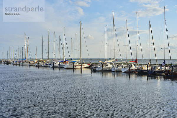 Insel Baltikum Ostsee Baltisches Meer Fehmarn Deutschland Schleswig Holstein