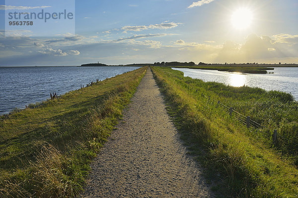 Sommer Insel Baltikum Fehmarn Deutschland Orth Sonne Schleswig Holstein