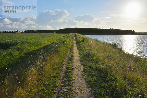 Weg Insel Baltikum Fehmarn Deutschland Sonne Schleswig Holstein