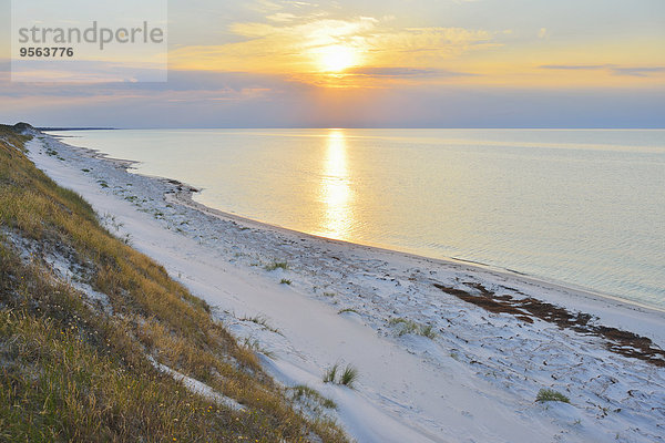 Strand Sommer Sonnenuntergang Meer Baltikum Ostsee Baltisches Meer Darß Deutschland Zingst