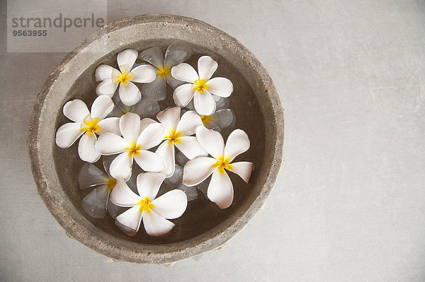 Wasser Stein Blume fließen weiß