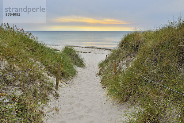 Strand Weg Küste Darß Abenddämmerung Deutschland Prerow