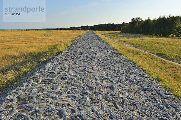 Insel Baltikum Ostsee Baltisches Meer Deutschland Hiddensee