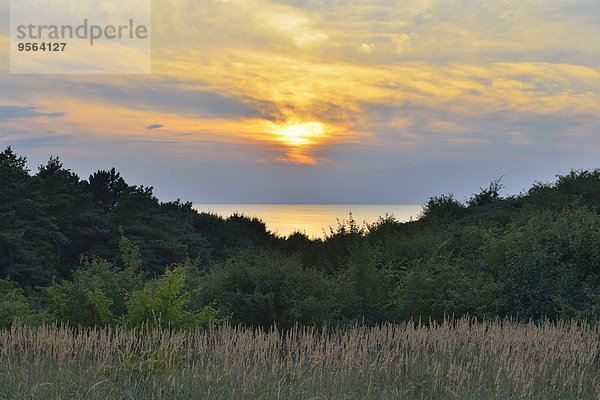Sommer Sonnenuntergang Meer Insel Baltikum Ostsee Baltisches Meer Deutschland Hiddensee