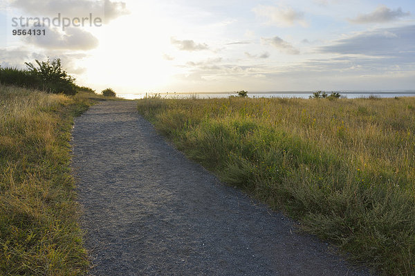 Sommer Morgen Weg Insel Baltikum Ostsee Baltisches Meer Deutschland Hiddensee