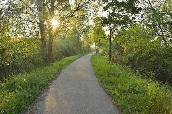 Morgen Weg Franken Deutschland Mainfranken Sonne Baden-Württemberg