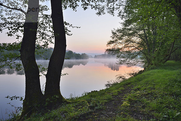 Wasserrand Baum Morgendämmerung Fluss Bayern Franken Deutschland