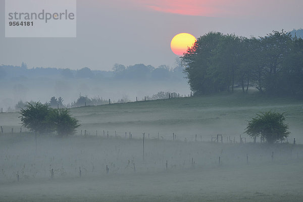Ländliches Motiv ländliche Motive Morgen Sonnenaufgang Dunst Deutschland Hessen