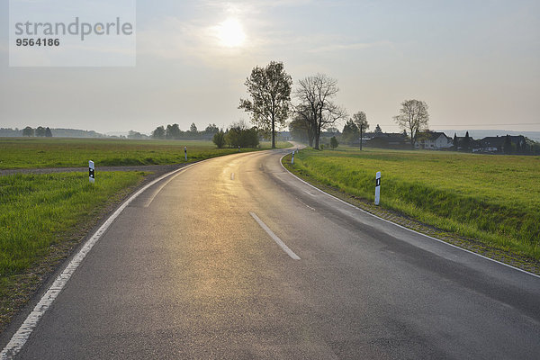 Biegung Biegungen Kurve Kurven gewölbt Bogen gebogen Fernverkehrsstraße Deutschland Hessen Sonne