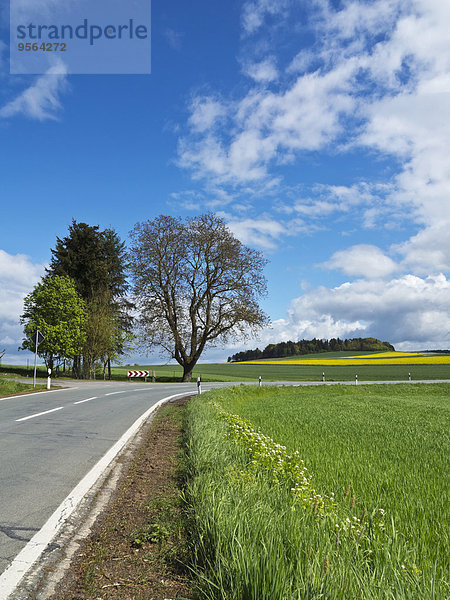 Hügel Bundesstraße Deutschland Nordrhein-Westfalen