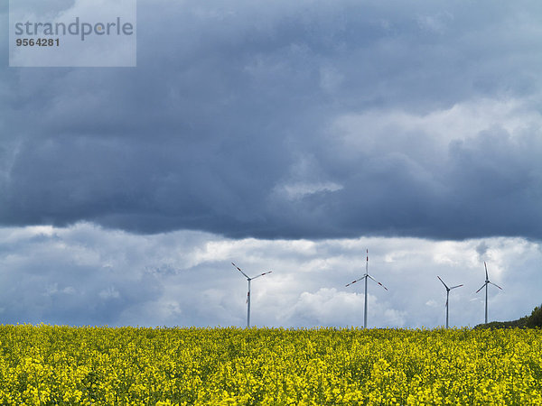 Windturbine Windrad Windräder Himmel Sturm Feld Fokus auf den Vordergrund Fokus auf dem Vordergrund Canola Deutschland Nordrhein-Westfalen