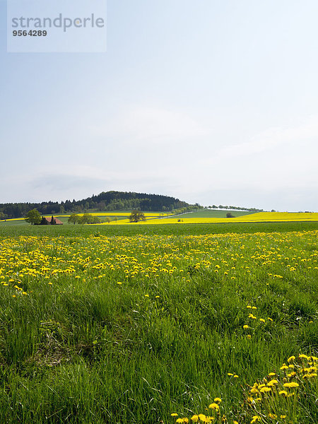 Landschaftlich schön landschaftlich reizvoll Feld Ansicht Deutschland Nordrhein-Westfalen