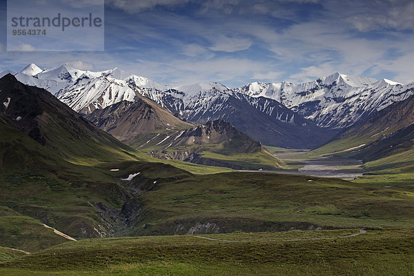 Vereinigte Staaten von Amerika USA Denali Nationalpark Alaska